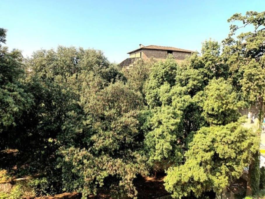 * * * * * Casa Vista Boboli Nel Cuore Di Firenze Экстерьер фото